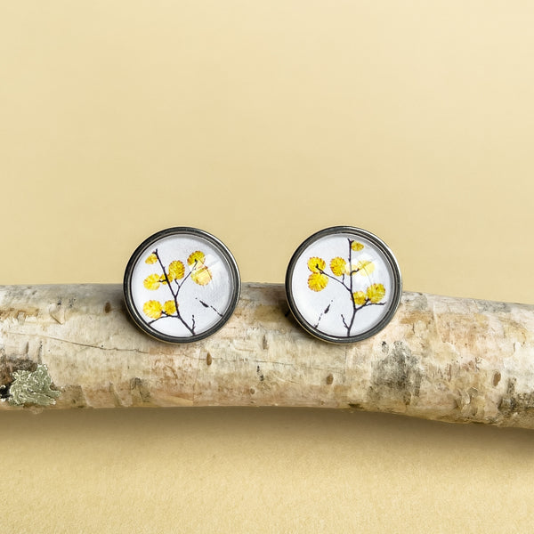 Fagus Jewellery - Deciduous Beech Stud Earrings - Tasmanian Made Jewellery