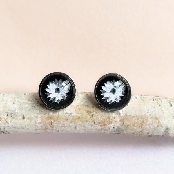 Everlasting Daisy Stud Earrings - Australian Wildflower Jewellery - Handmade - Myrtle & Me