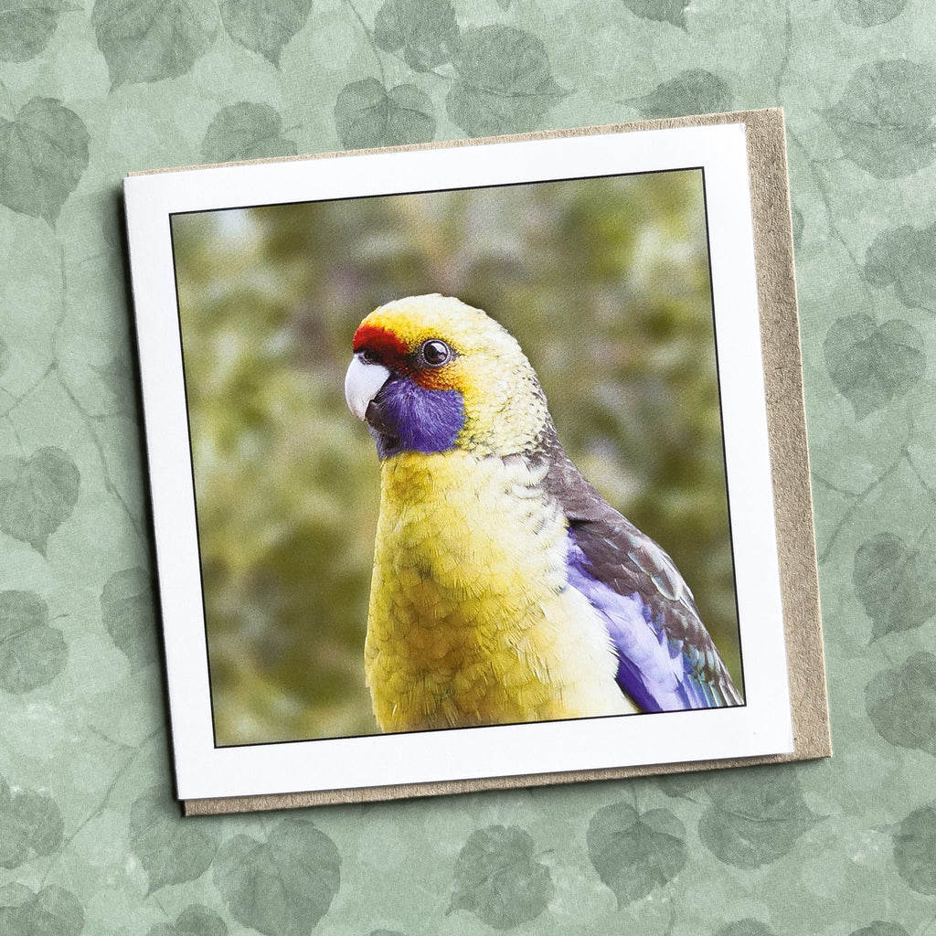 Green Rosella Tasmanian Bird Greeting Card - Myrtle & Me