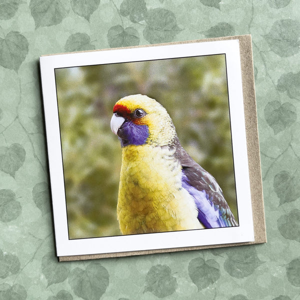 Green Rosella Tasmanian Bird Greeting Card - Myrtle & Me