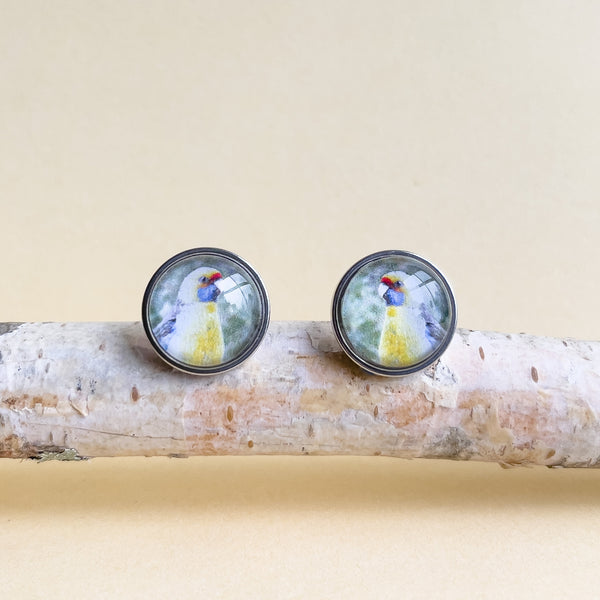 Green Rosella Stainless Steel Stud Earrings - Handmade In Tasmania