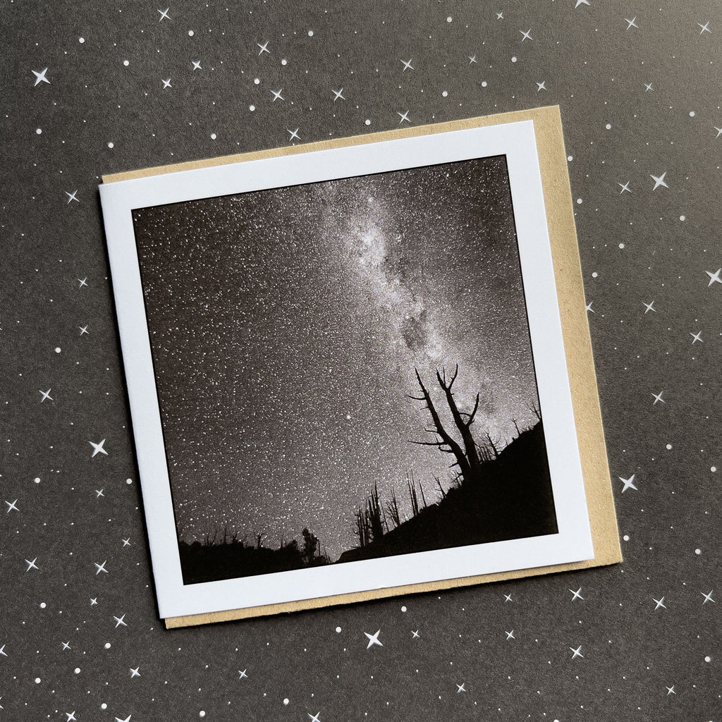 King Billy Pine Greeting Card - Tasmanian Wilderness Photography - Walls of Jerusalem