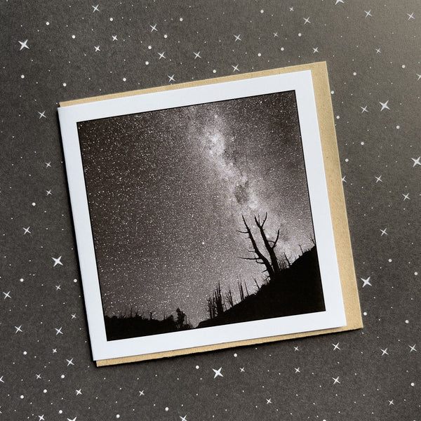 King Billy Pine Greeting Card - Tasmanian Wilderness Photography - Walls of Jerusalem