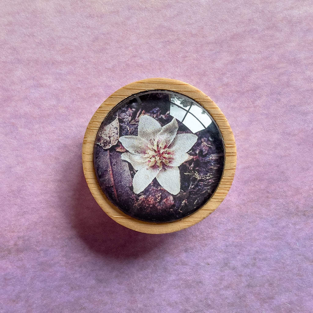 Sassafras Tree Flower Handmade Brooch - Cradle Mountain - Tasmanian Jewellery