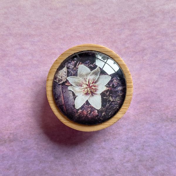 Sassafras Tree Flower Handmade Brooch - Cradle Mountain - Tasmanian Jewellery