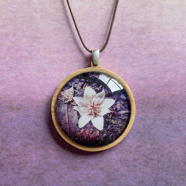 Sassafras Flower Nature Pendant - Tasmanian Wilderness Photography - Myrtle & Me