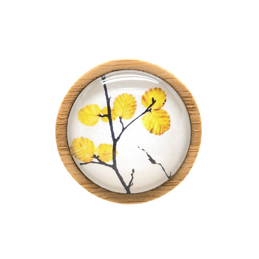 Fagus - Deciduous Beech - Brooch-Brooch - Myrtle & Me