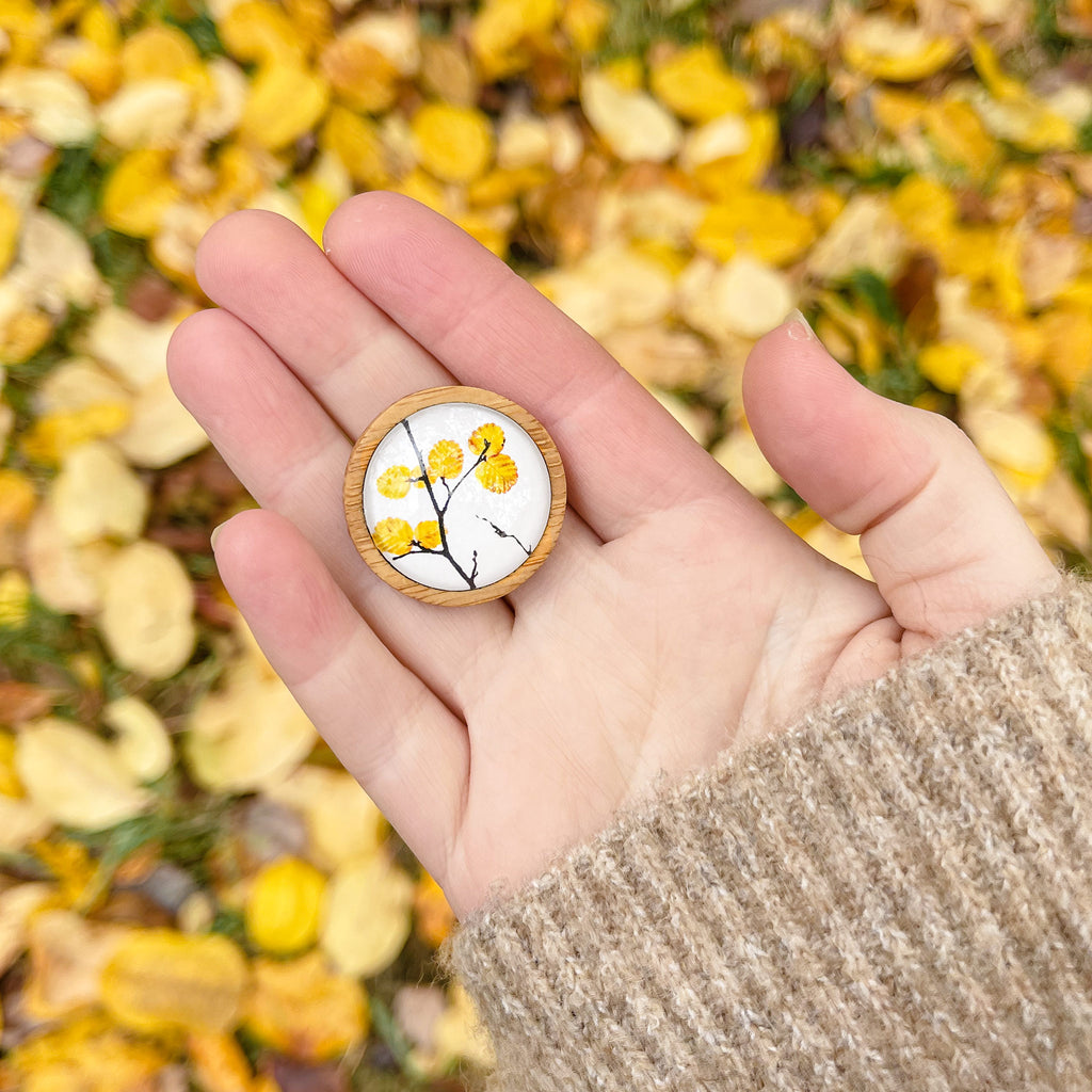 Connect To The Magic Of Nature