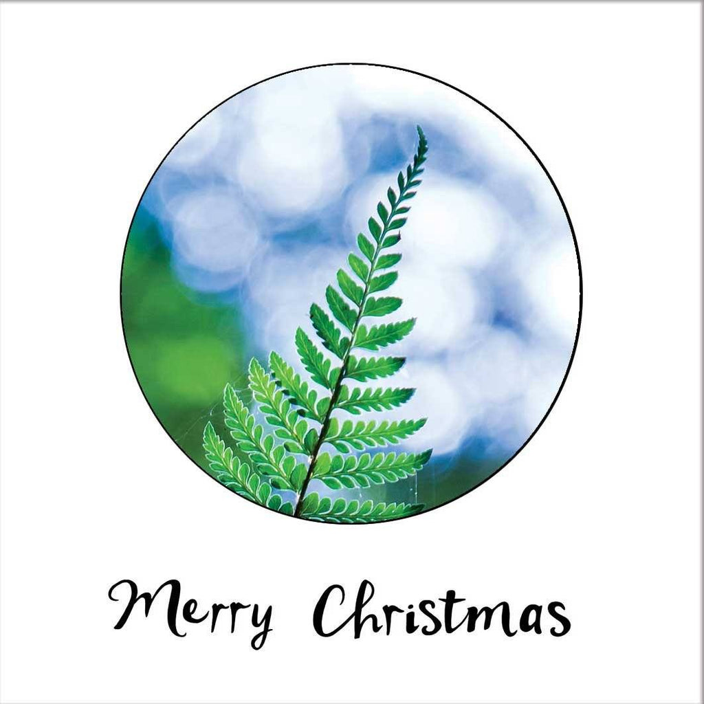 Fern At Mt Lindsay Tarkine - Tasmanian Christmas Card By Myrtle & Me