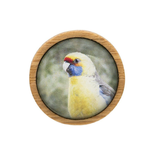 Green Rosella - Tasmanian Handmade Brooch - Myrtle & Me