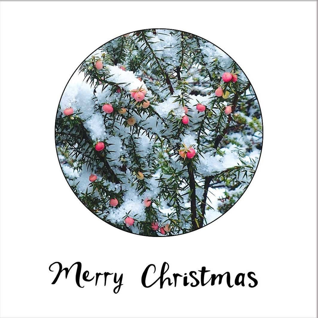 Mountain Pinkberry - Christmas Card-Card-Myrtle & Me