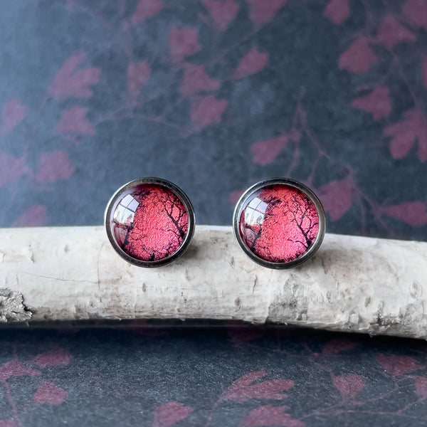 Tasmanian Winter Edition Gum Tree Earrings - Handmade By Myrtle & Me