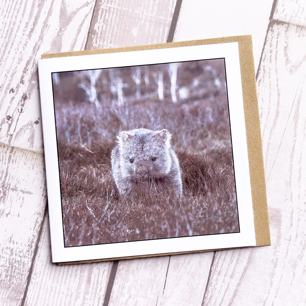 Wombat Greeting Card - Cradle Mountain Tasmania - Myrtle & Me