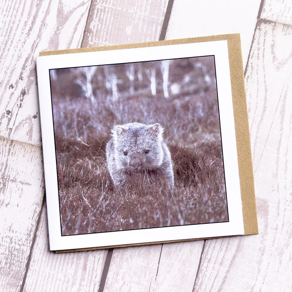Wombat Greeting Card - Cradle Mountain Tasmania - Myrtle & Me